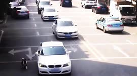 How to walk your dog in traffic