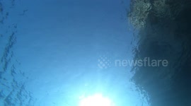 Two bubble rings collide slowmotion