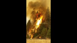 The reason I-5 is closed. #deltafire #cafire #wildfire #camutualaid #reddingfirefighters https://t.co/g6BSEXAVUV