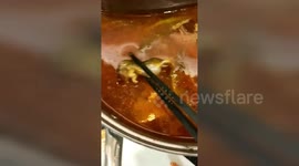 Restaurant offers pregnant woman £200 to abort baby after she finds dead mouse in hot pot