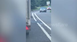 Escaped WALLABY filmed bouncing alongside shocked motorists in Devon