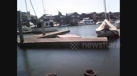 SHARK ATTACK OR JUST STRANGE EVENTS OFF COAST OF N.CALIFORNIA