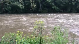 Creek overflows in Maryland county as Florence moves towards Carolinas