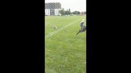 5lbs morkie chases great dane