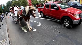 Horse urinates near cyclist in the middle of busy New York City street