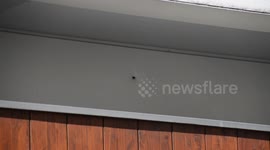 The bullet impacts of the terrorist attack of the 7 january 2015 at the french magazine Charlie Hebdo are still visible. Paris, France. (Images of the 11 september 2018)