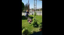 US woman does gardening with toddler on shoulders