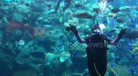 Cute double photobomb