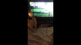 And just wants to play