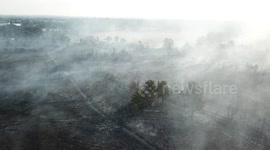 Ferndown Heath Fire aftermath
