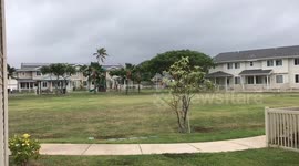 Tropical Storm Olivia makes landfall in Hawaii