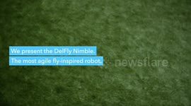 A flying robot with flapping wings can dart through the air like an insect