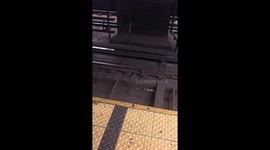 Two NYC Pzza Rats Fighting Over A Slice