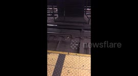 New York subway rats fight over slice of pizza
