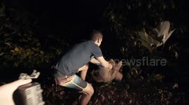 Tourists rescue sloth from being run over by car in Costa Rica