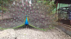 Look at me!