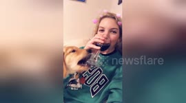 Puppy tries to steal owner's wine