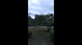 Hurricane Florence brings heavy rain and wind to Carolinas