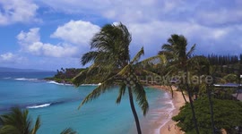 Rising above Palm to a Tropical beach