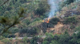 Forest Fire Kalhatty Mudumalai Tiger Reserve