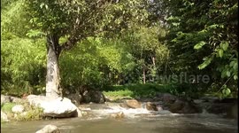 Beautiful waterfall ( View 6 ) of Paya Lintah, Perak, Malaysia.