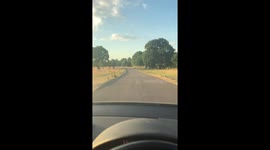 Scenic Views Through Sunset