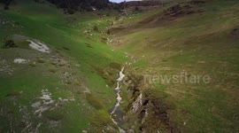 Ciervos en valle de aran