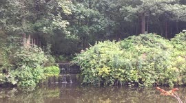 canal side water flowing with small waterfall
