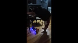 An adult trying to play like a kid again with a hoverboard