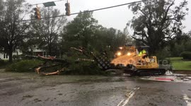 Loader pushes massive downed tree out of street after Florence