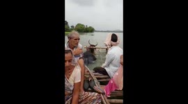 When a Bull kart going into the river