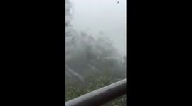 Typhoon Mangkhut: Businessman films swirling debris from hotel balcony in Shenzhen
