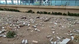 Bricks dislodged, trees uprooted in aftermath of Typhoon Mangkhut