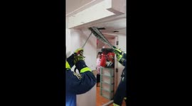 'Horror movie' moment 17ft long python is caught in living room roof after killing cat