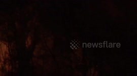 Bush Fire Ipswich - Tivoli
