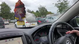 Seagull Won’t Get Off The Bonnet