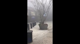 Fire in garage