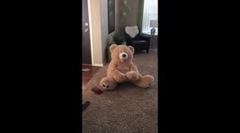 Girl trips and stumbles as she tries to stand in teddy bear costume