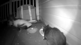 When you're hungry dinner guests don't matter