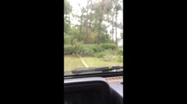 Man uses Jeep and towing strap to pull Hurricane Florence debris out of yard