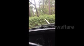 Man uses Jeep and towing strap to pull Hurricane Florence debris out of yard