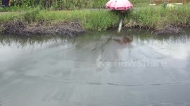 Ripples and wave interference demonstration.