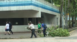 Locals help to remove tree felled by Typhoon Mangkhut in Hong Kong