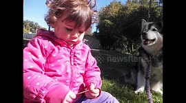 Do you want a new dog or a  new baby brother