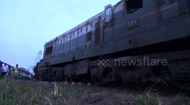 Pregnant Elephants and Calf killed by speeding train transporting oil in srilanka,locals loot oil from derailed train tankers