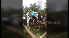 Commuters climb through fallen trees to get to work after Typhoon Mangkhut