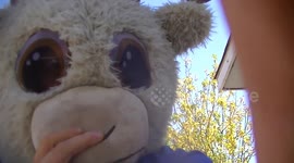 Goats react to Goat Mask!