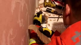 Firefighters free naughty kitten trapped in computer desk