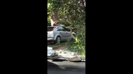 Tree knocked down by strong winds crushes car in Dublin