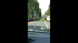 Storm Ali. Tree falls down and crush’s car.
